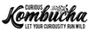 THE CURIOUS DRINKS COMPANY
