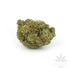 files/Forbidden-Fruit-Single.jpg